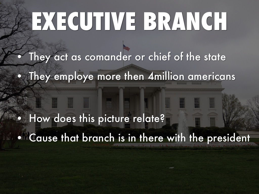 3 Branches Of Government 