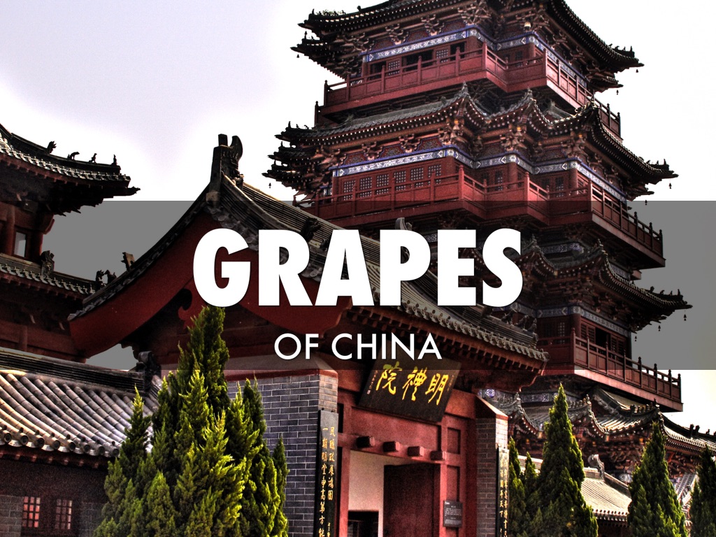 Grapes Of China