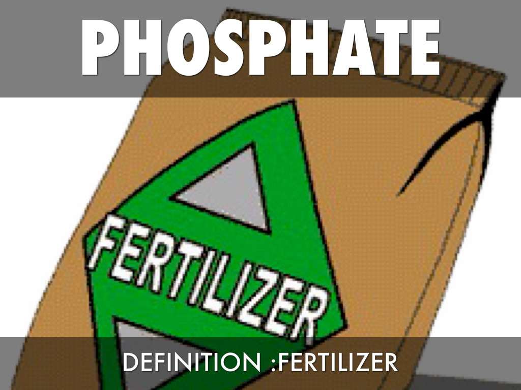 Vocab by ursulatorres21