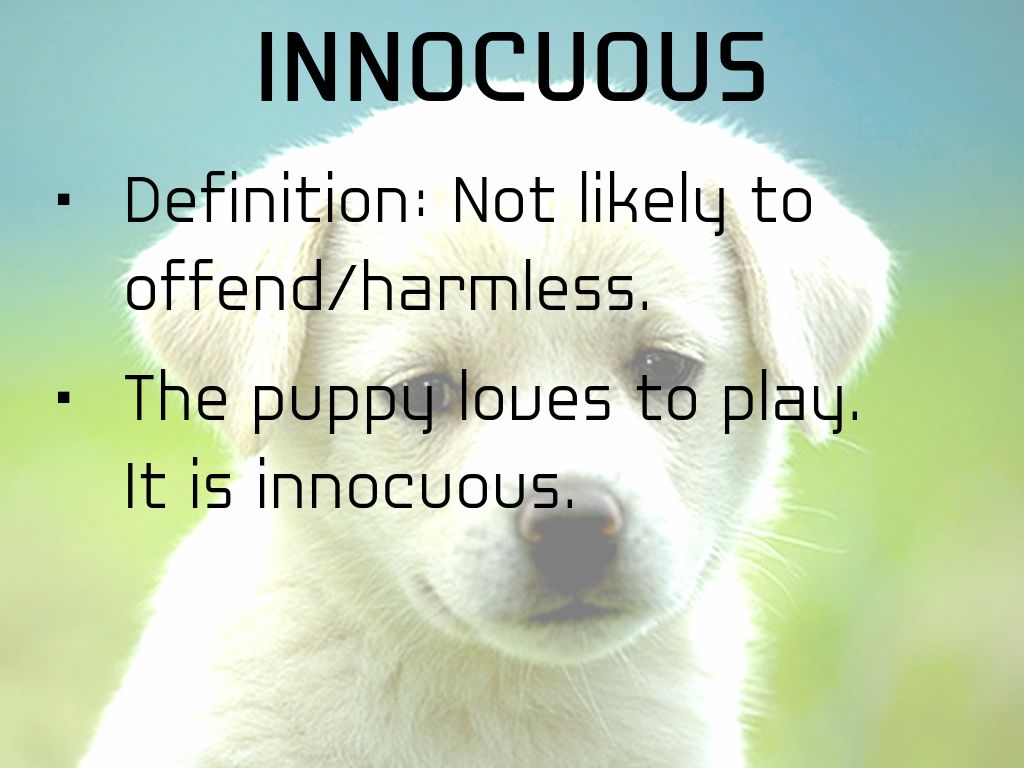 Beast in The Garden by Kevin Grider