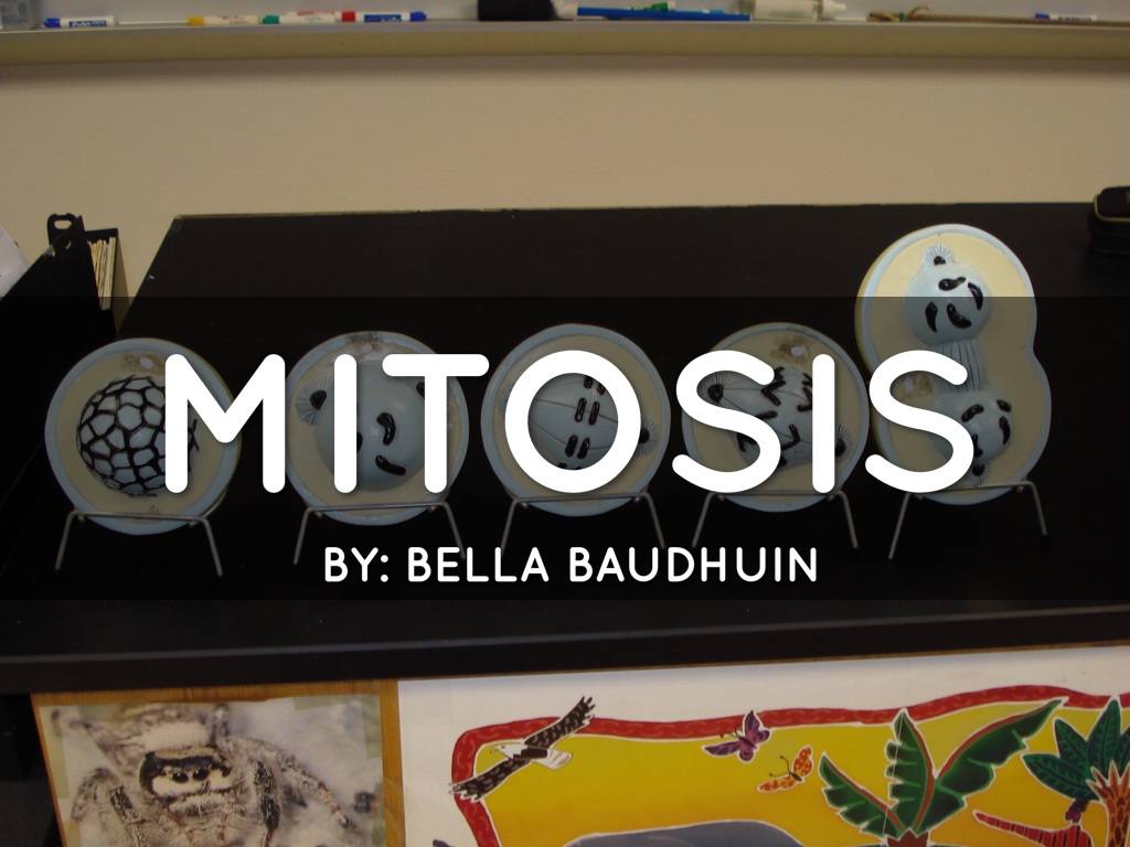 Copy of Haiku Deck In Action