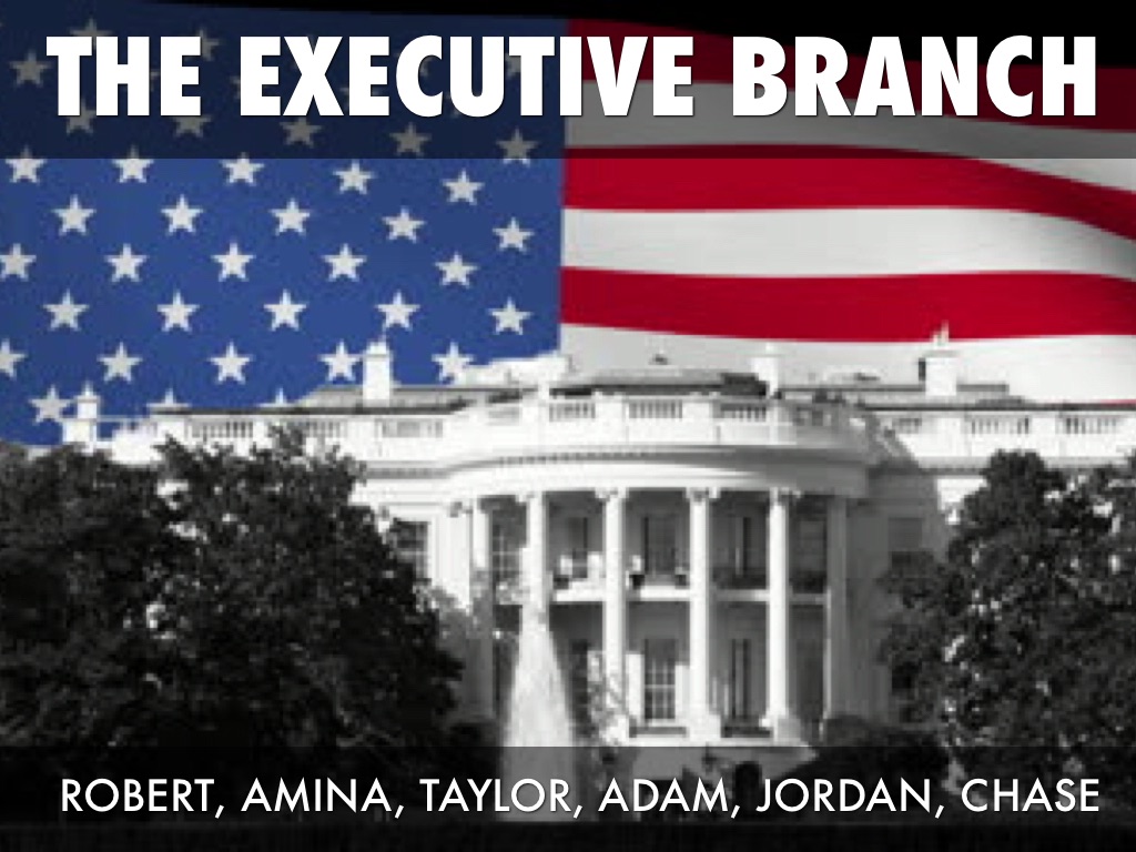 Group 1: Executive Branch