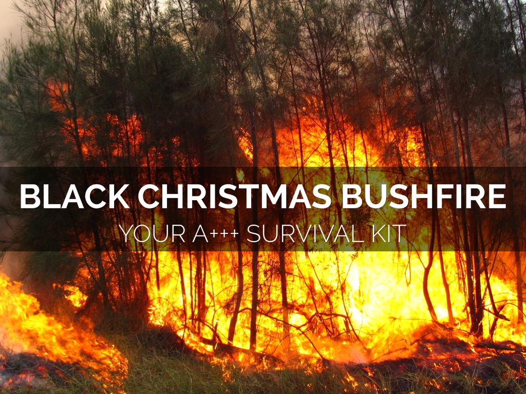 black christmas bushfire by gardner download presentation theme