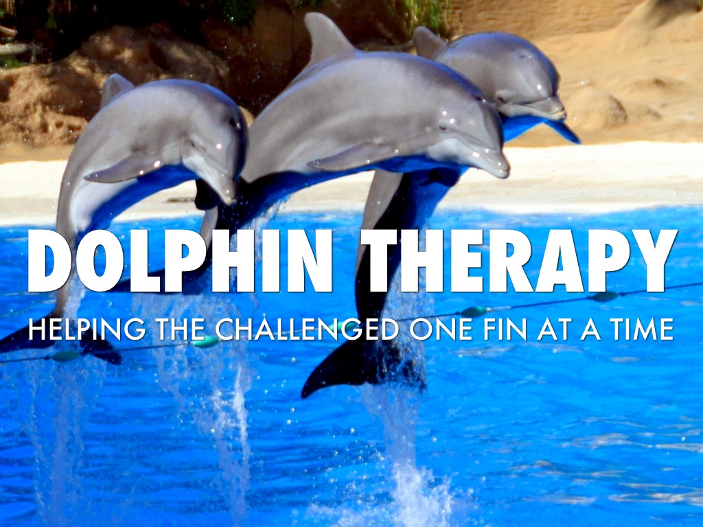 Dolphin Therapy by giga1935