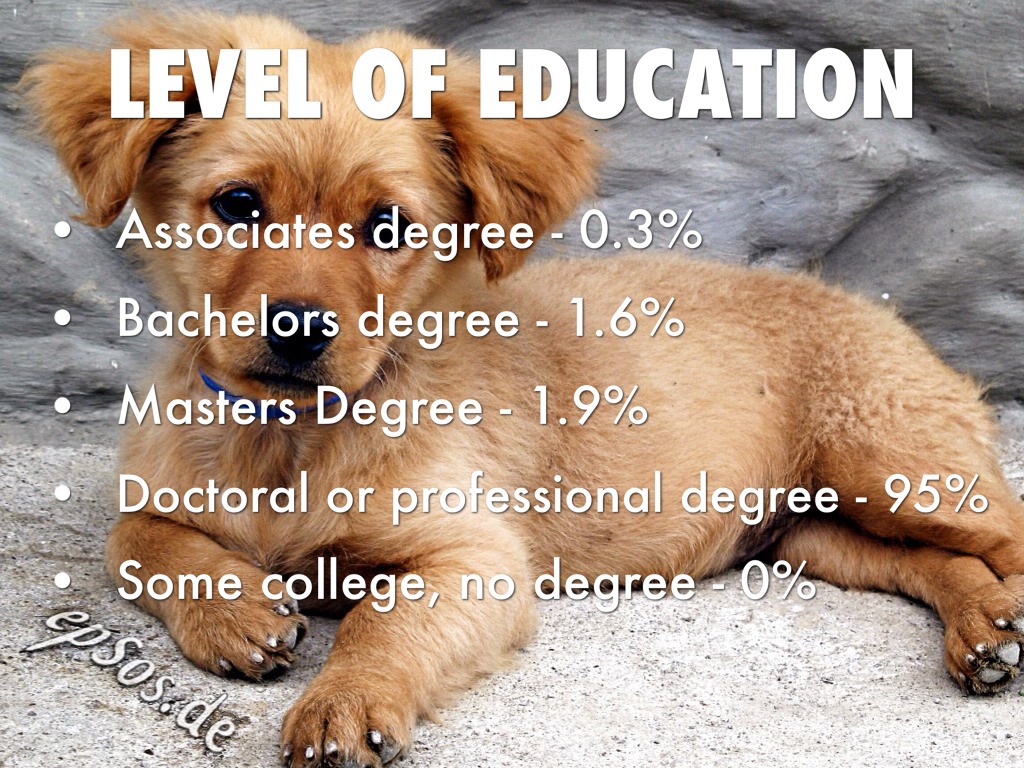 Veterinarian by kyrosonke