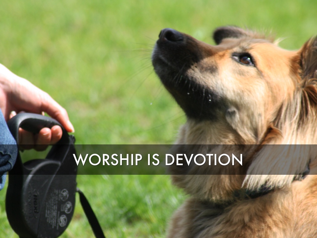 Worship: Devoted