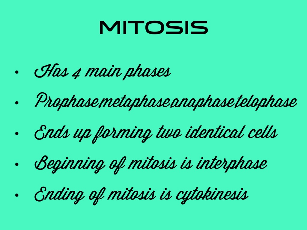 Mitosis 