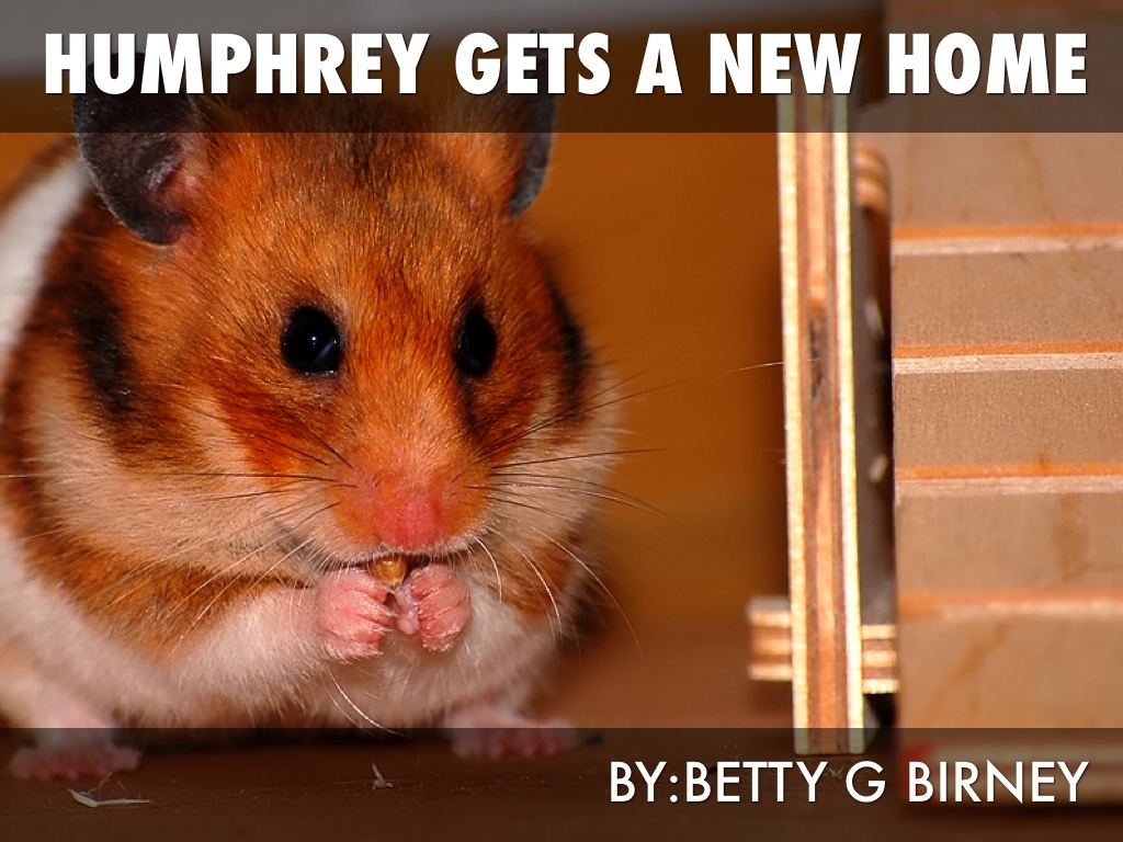 The World According To Humphry