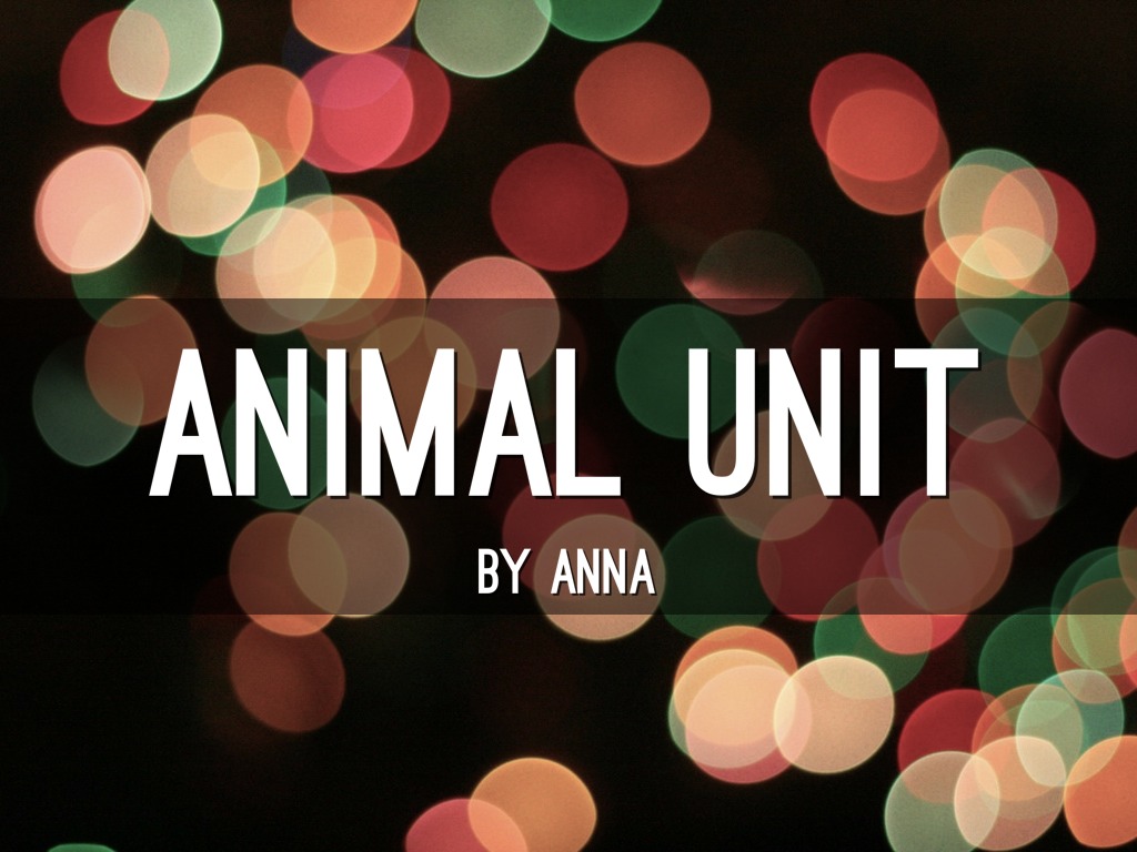 Animal Unit by Anna