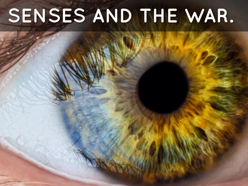 Five Senses - Jack,Taylor