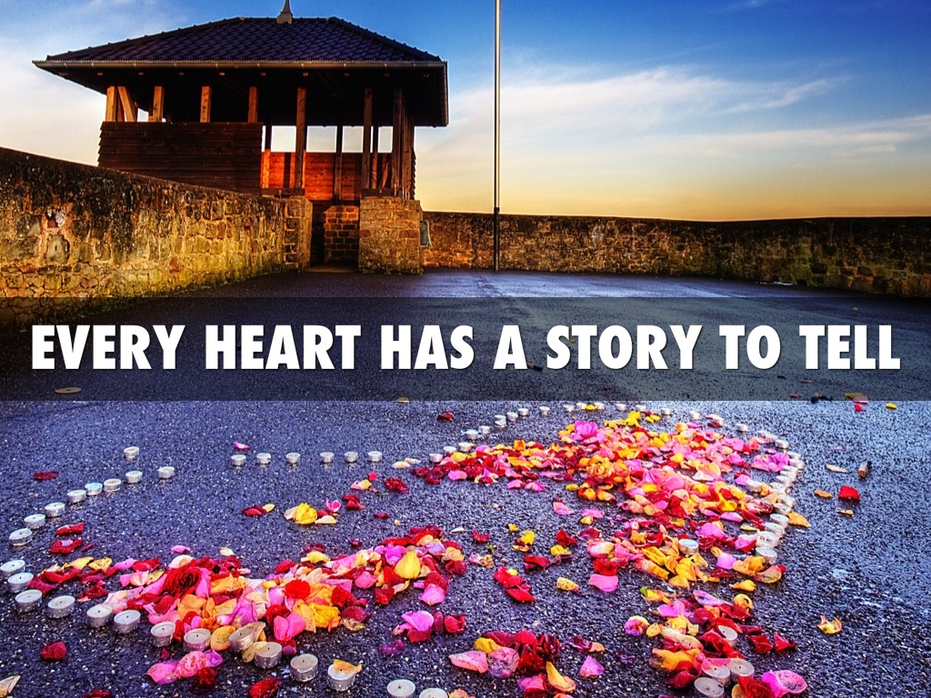 VIP - Volunteers In Panama