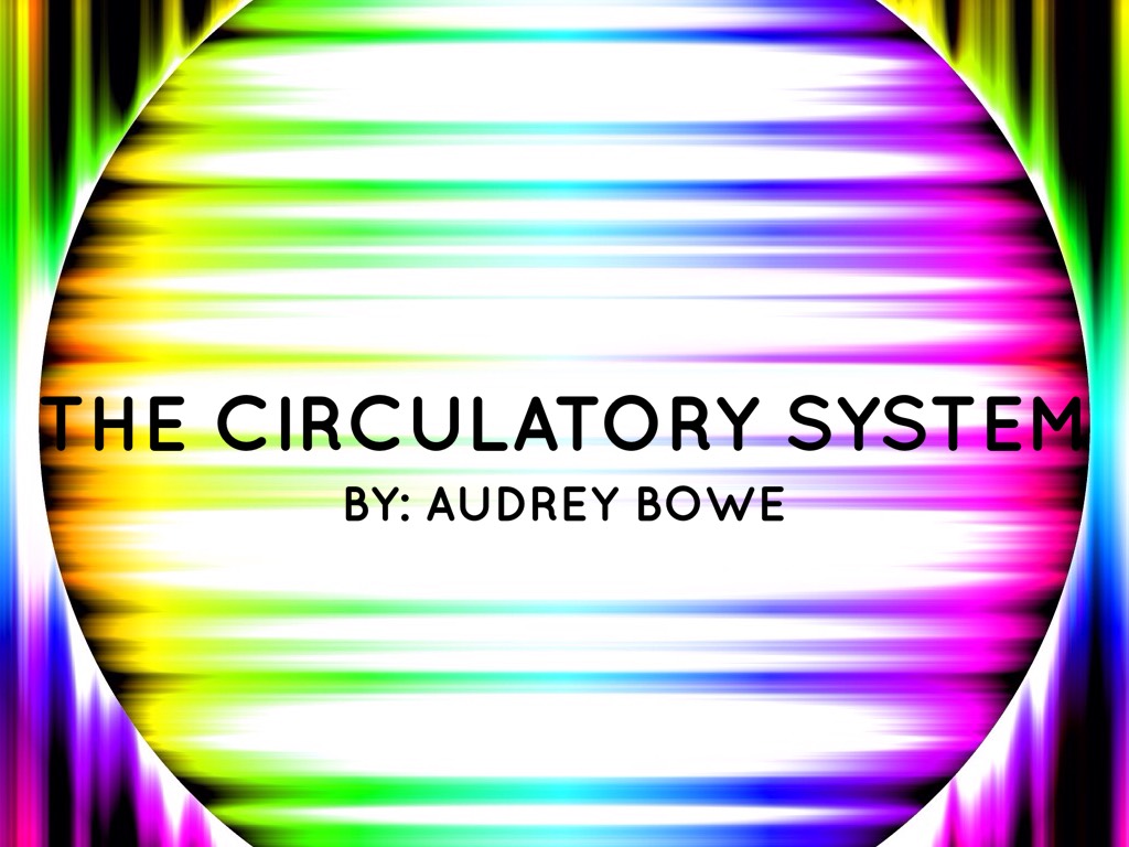 Circulatory System