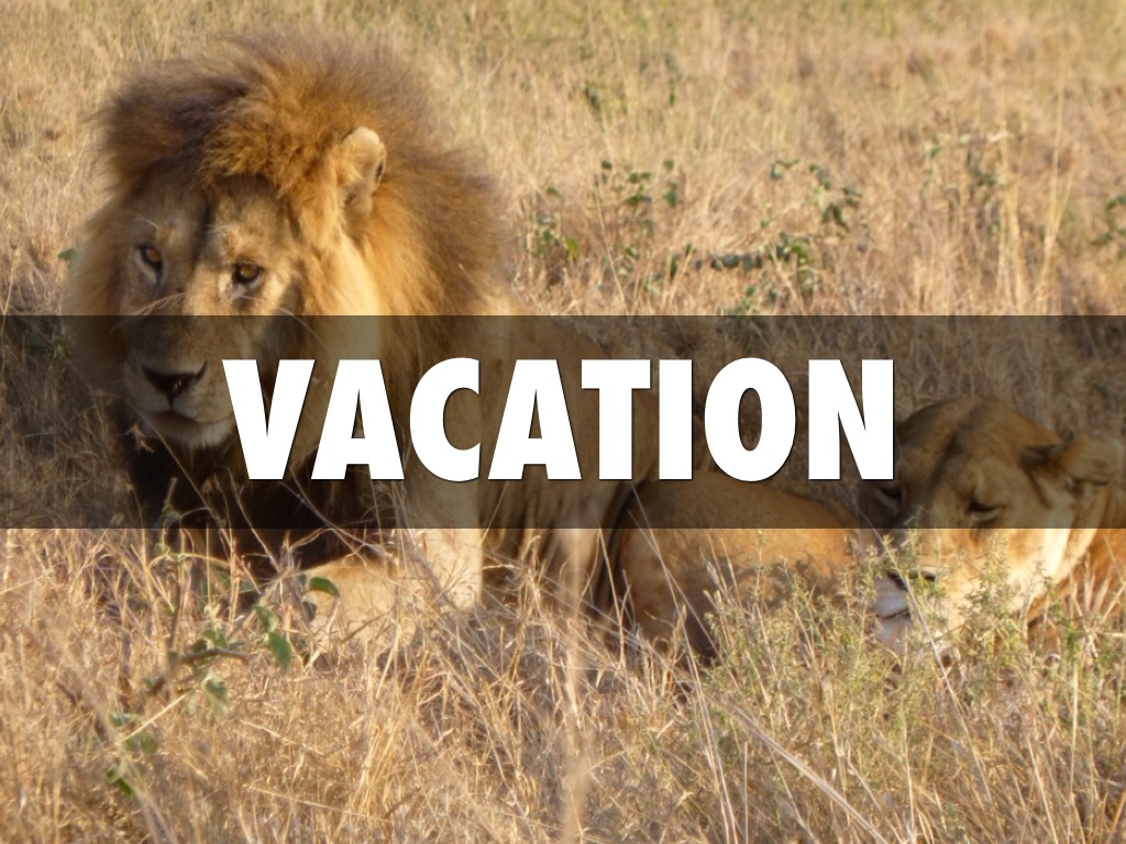 Vacation