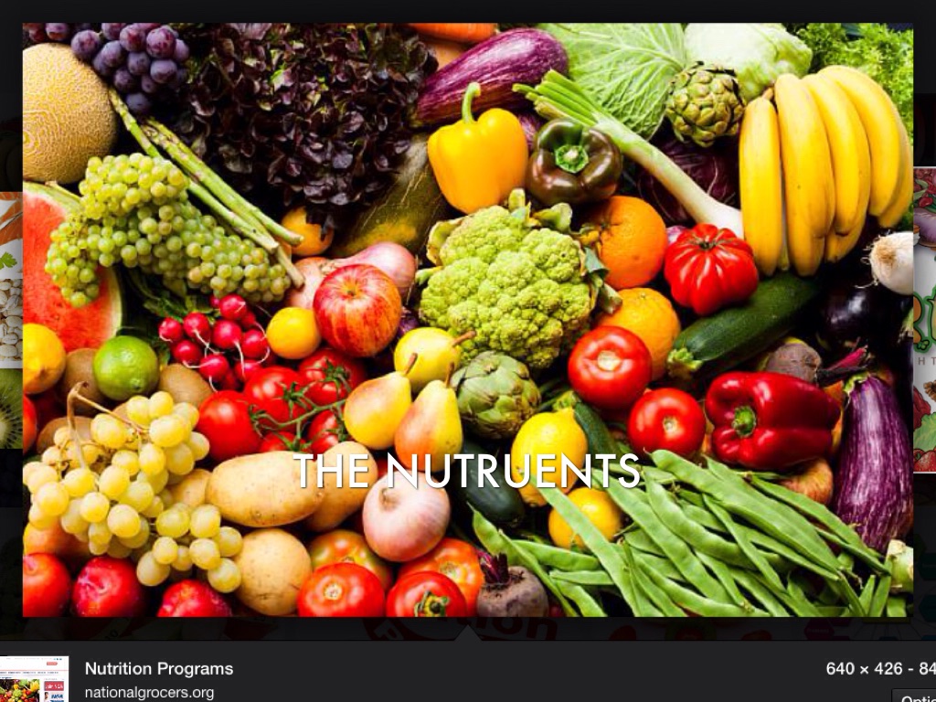 The 6 Nutrients