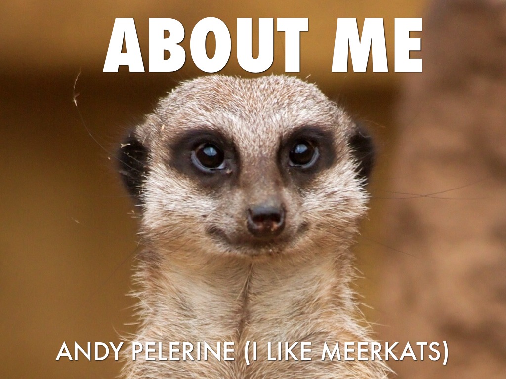 Andy Pelerine- About Me