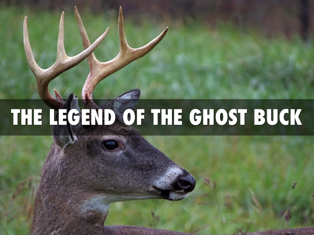 The Legend Of The Ghost Buck By: Lane Walker
