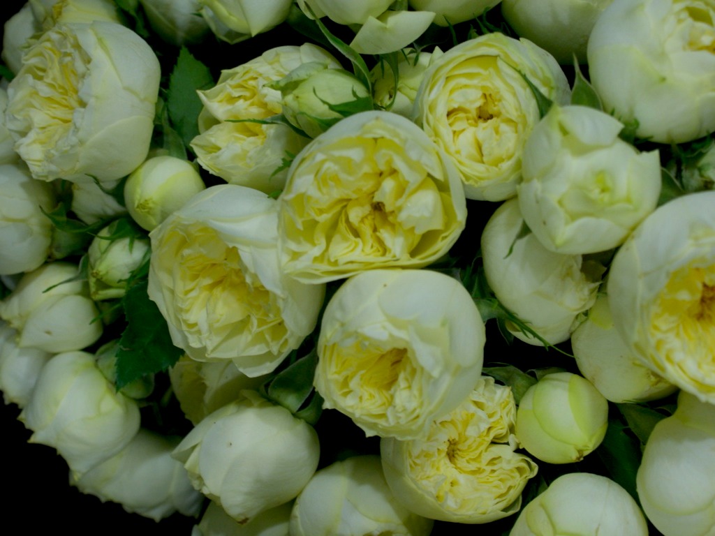 Flowers to Kent by Flowerstokent