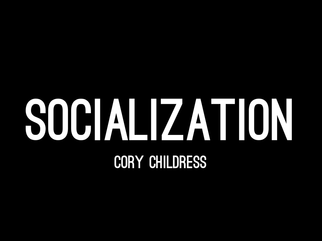 Socialization 