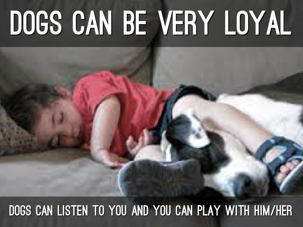 Everyone Should Have Dogs By Julia And Brooke by Lisa