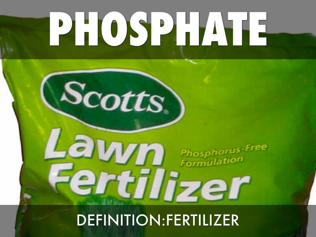 Vocab by dreagomez35