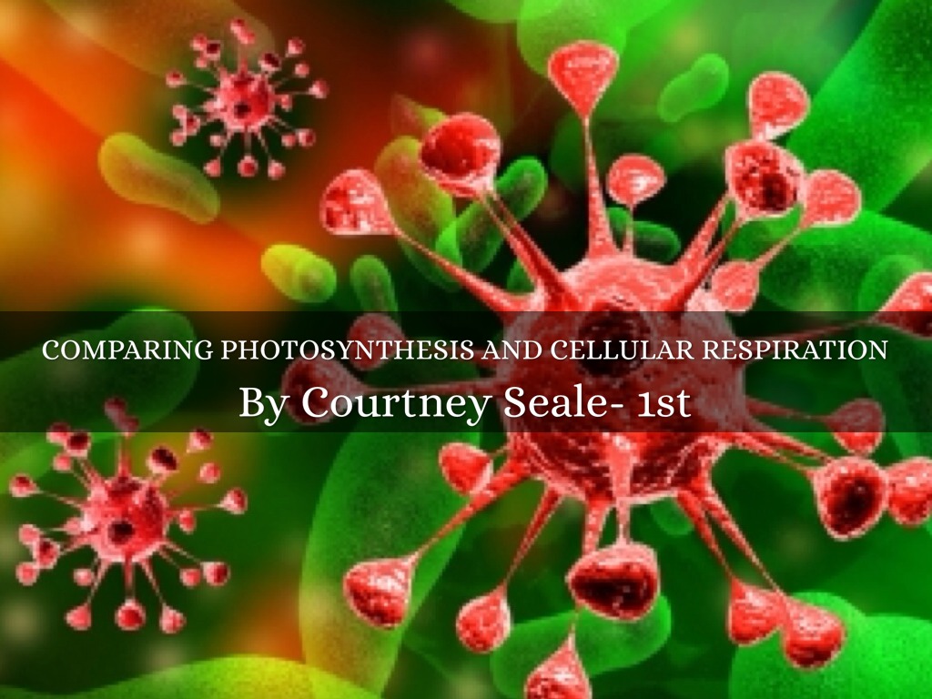 Photosynthesis And Cellular Respiration