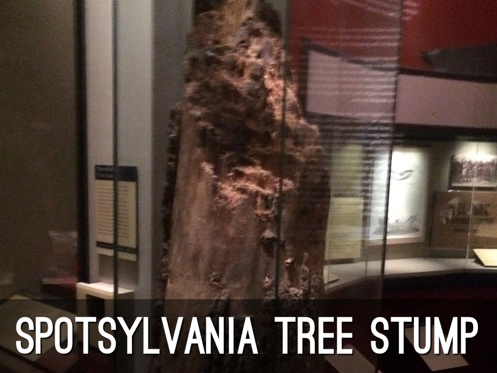 Washington by Lee Tallent