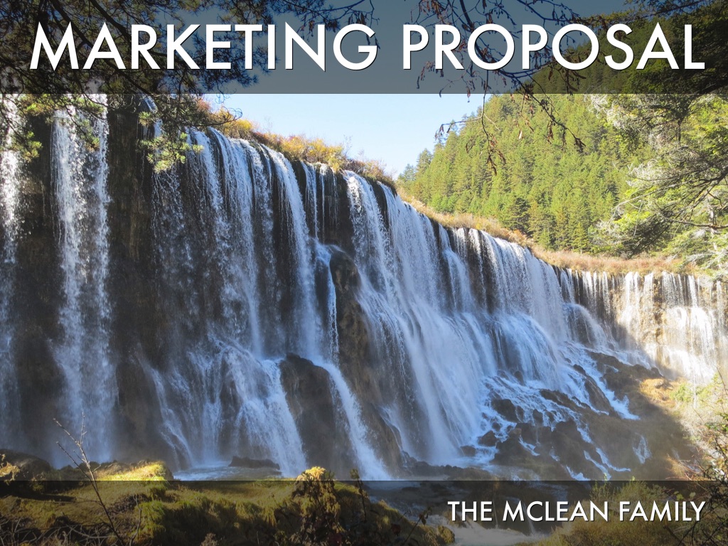 Luxury Marketing Proposal