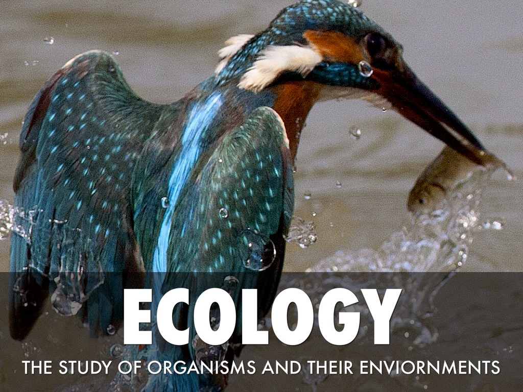 Ecology