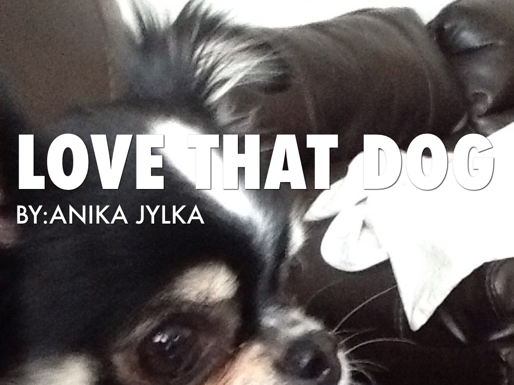 Love That Dog