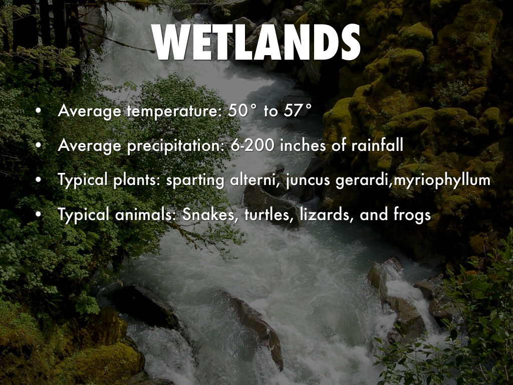 Wetlands