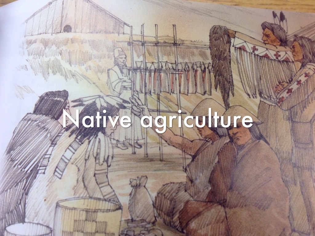 Native Agriculture