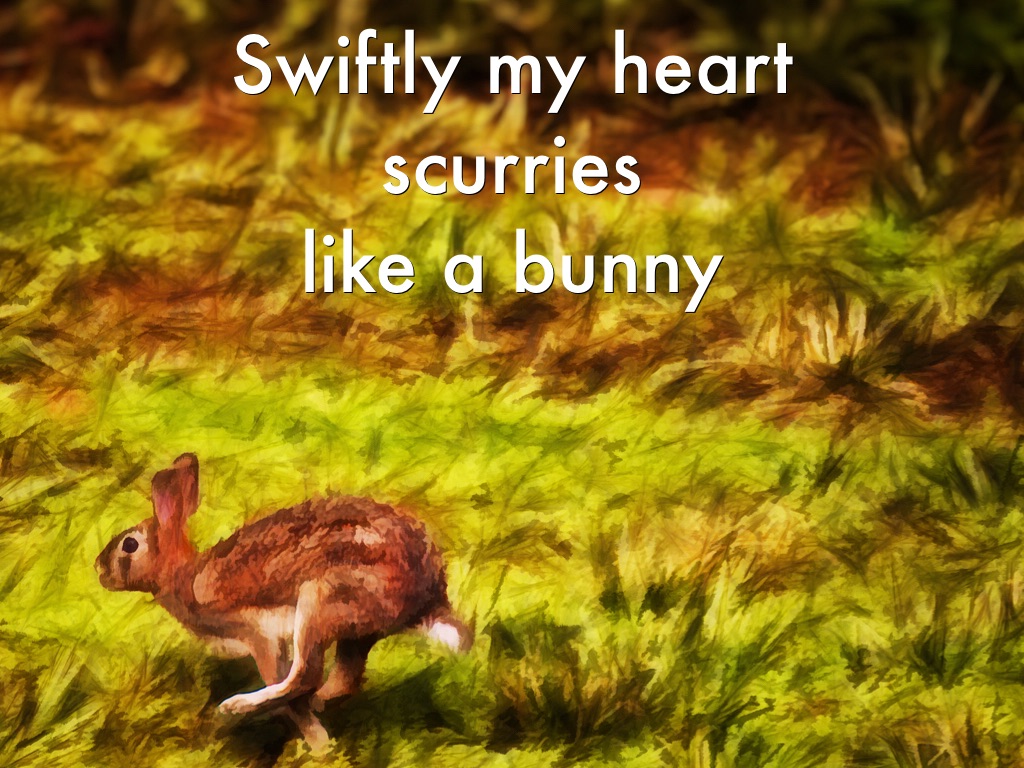 Swiftly My Heart Scurries Like a Bunny