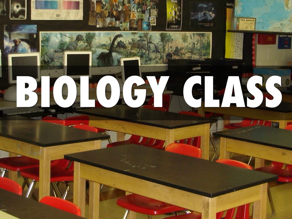 Sydney Z. Biology Class