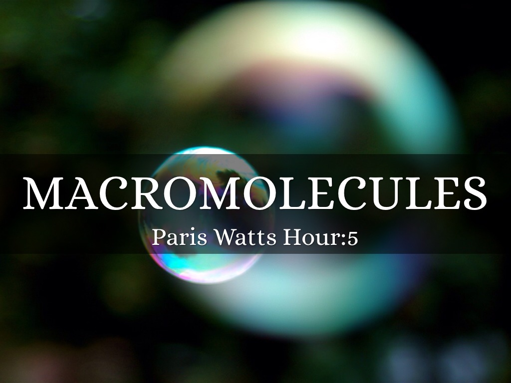 MACROMOLECULES 