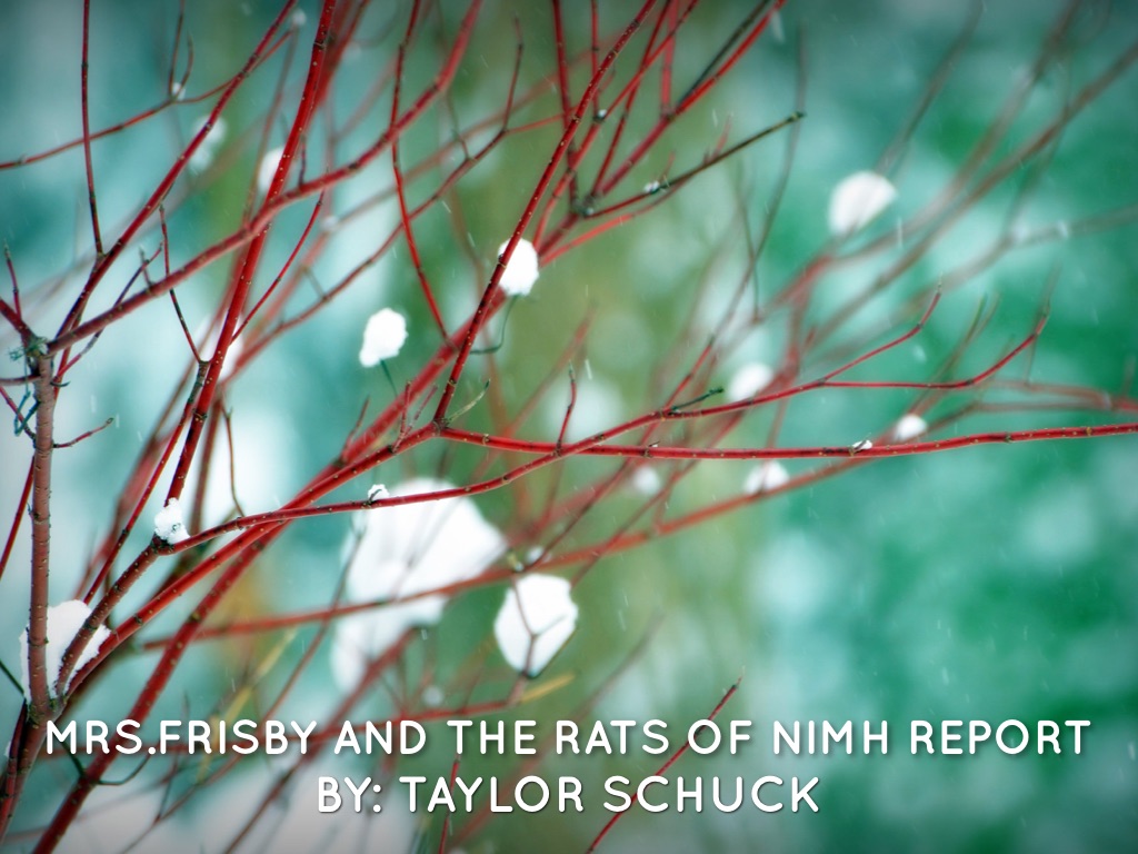 Mrs.Frisby And The Rats Of NIMH Report