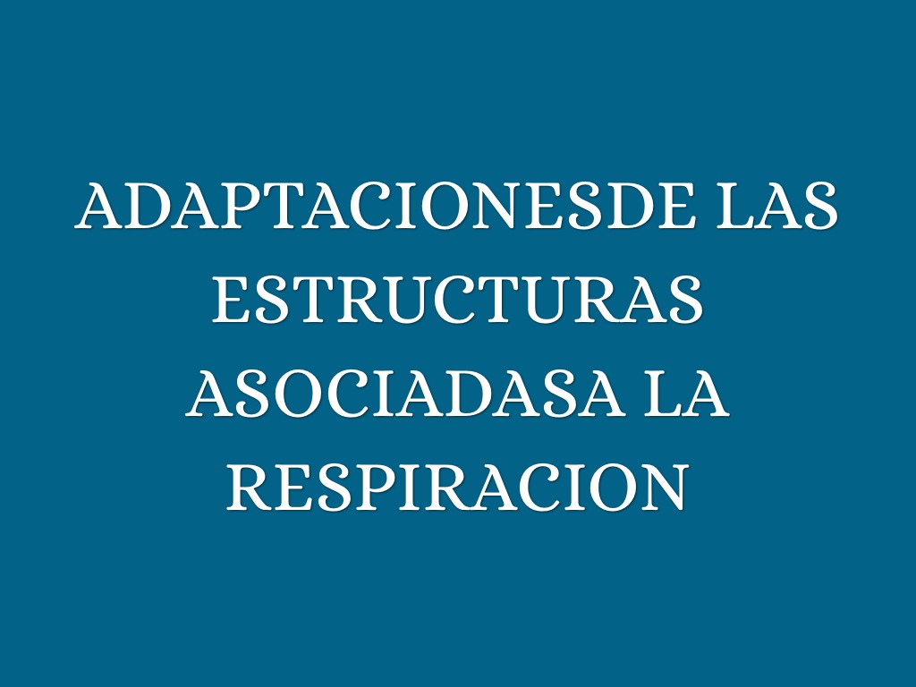 Equipo 6  Zyanya Thelma Mayte Brithany Y Geovani