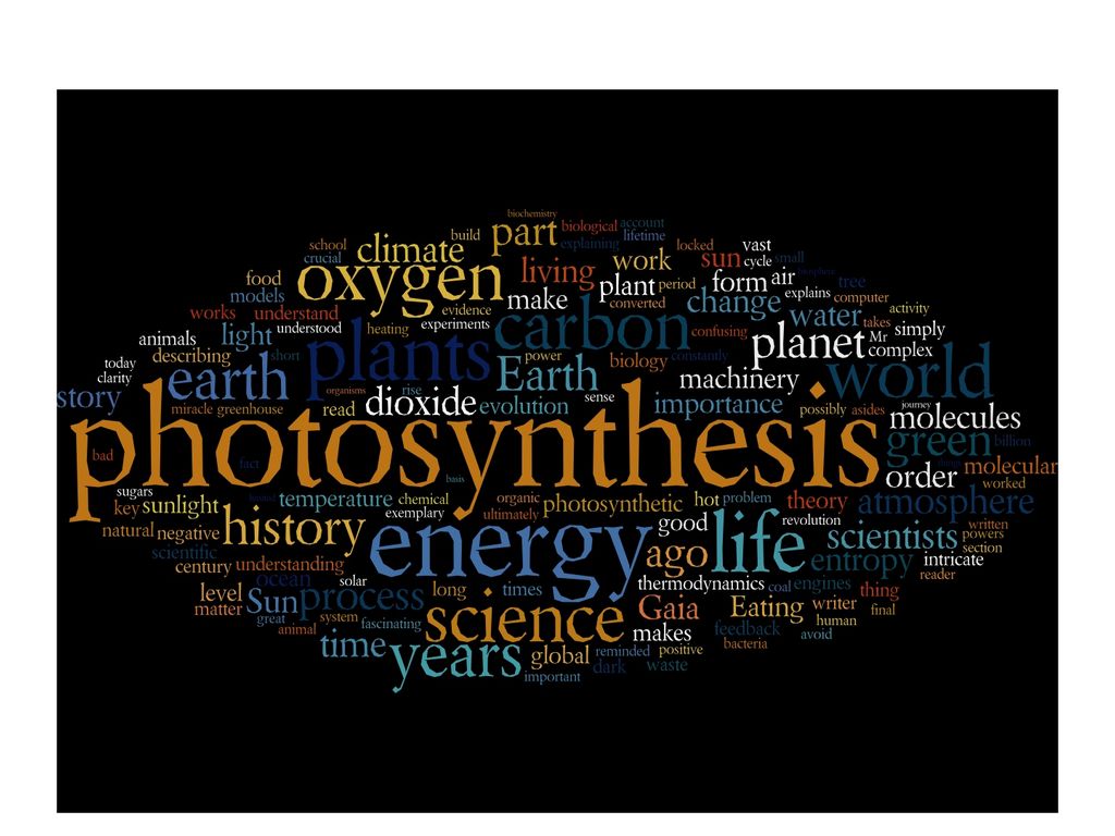 Photosynthesis Vs Respiration