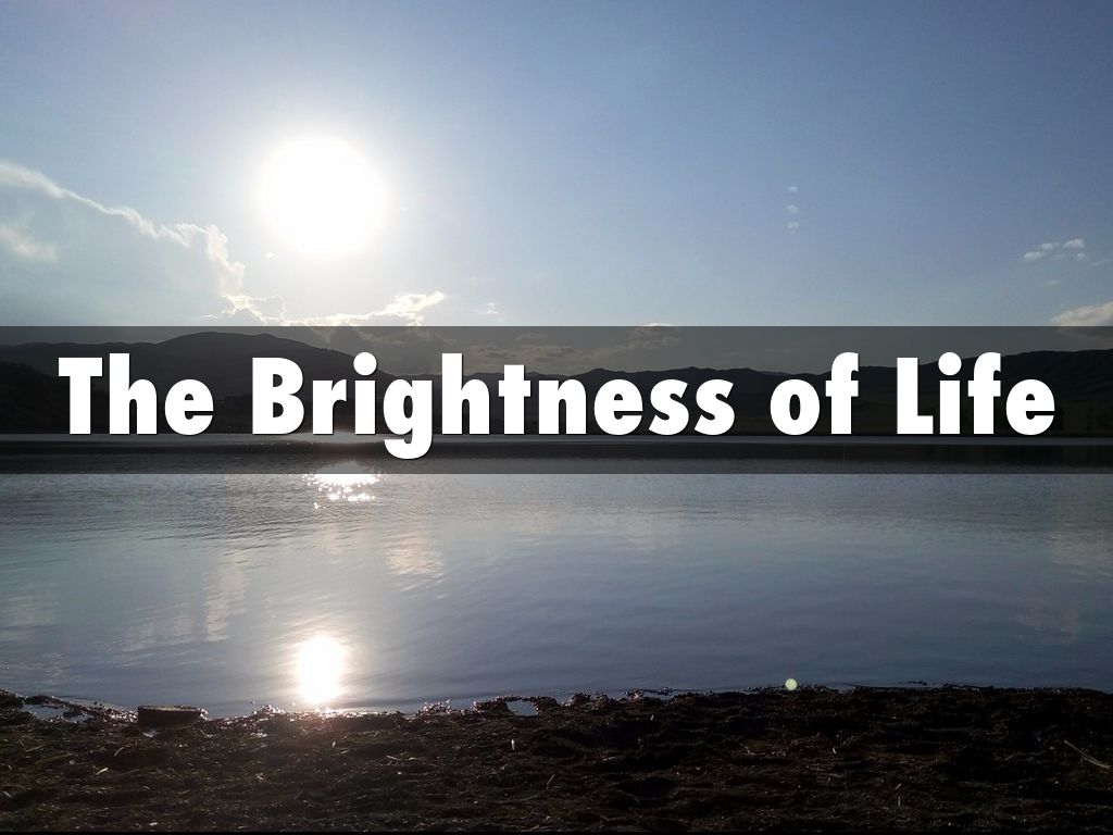 The Brightness of Life
