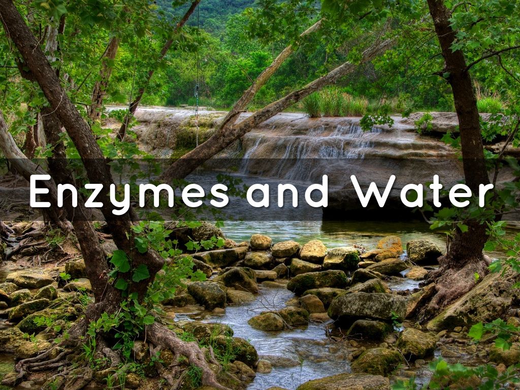 Enzymes and Water