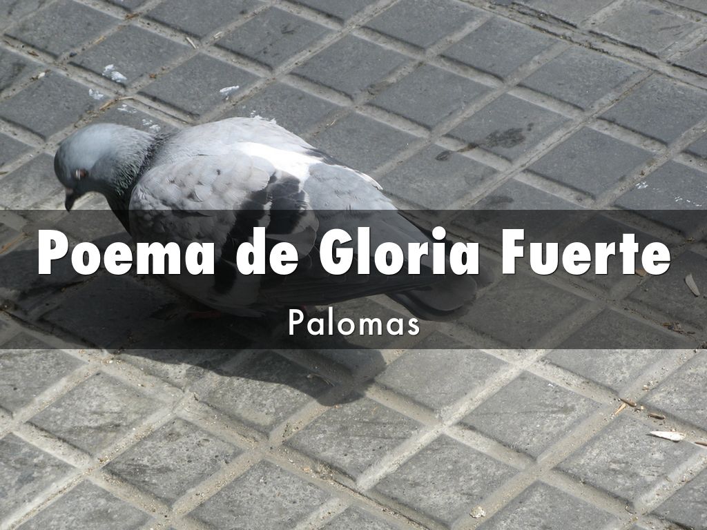 Poema de Gloria Fuerte