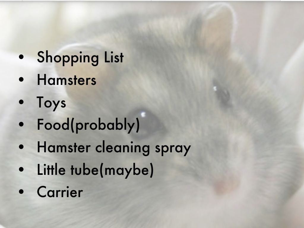 craigslist hamsters