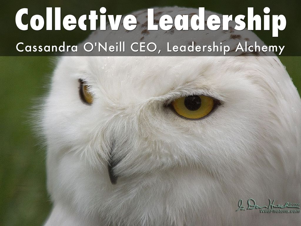 Collective Leadership Slides Leadership Alchemy 的副本