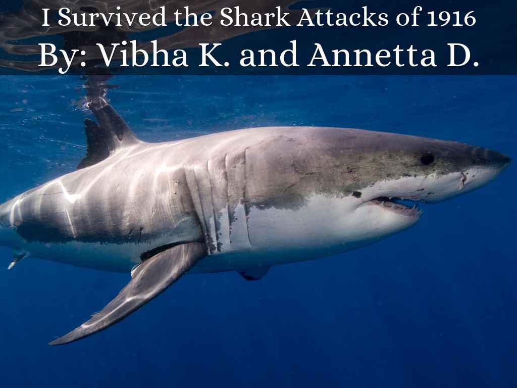 I Survived Shark Attacks of 1916 by s633129