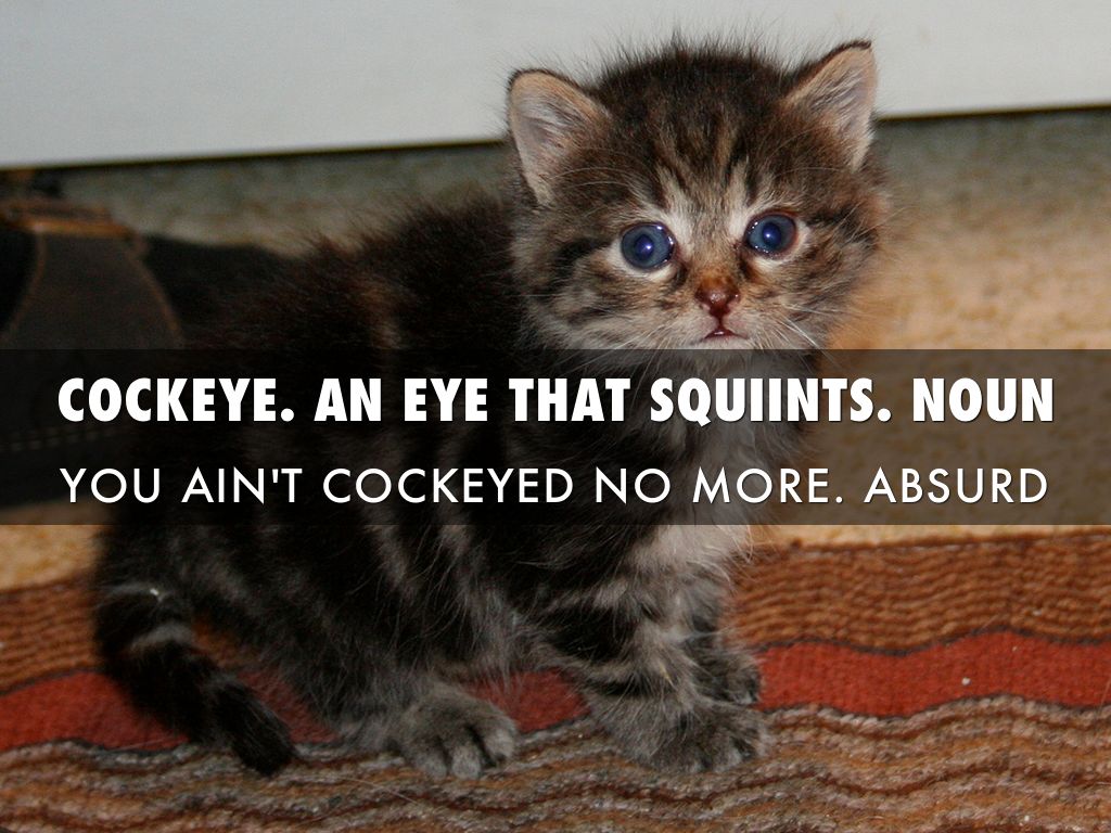 The Watsons Go To Birmingham 