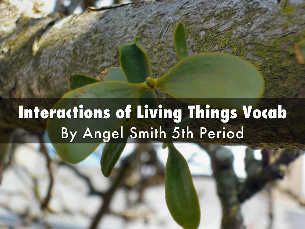 Interactions of Living Things Vocab