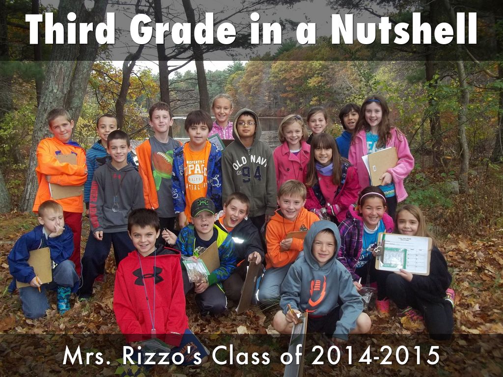 Third Grade in a Nutshell by Lisa Rizzo