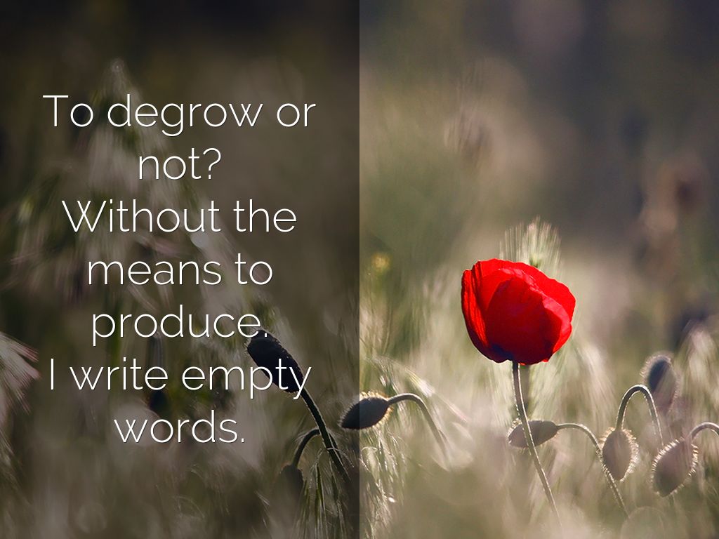 To degrow or not? Without the means to produce I write empty words