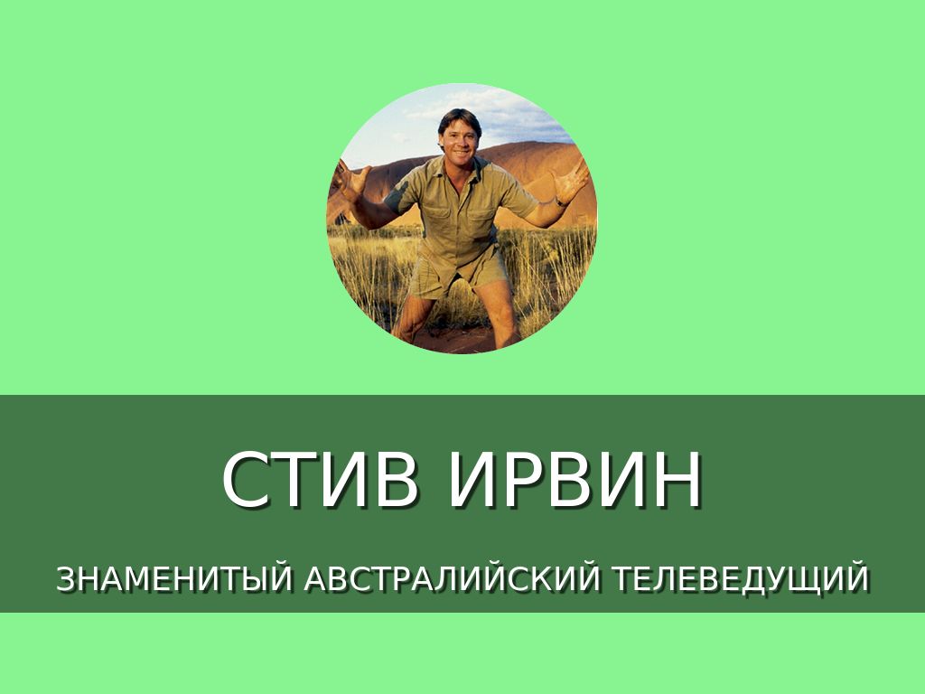 Стив ирвин