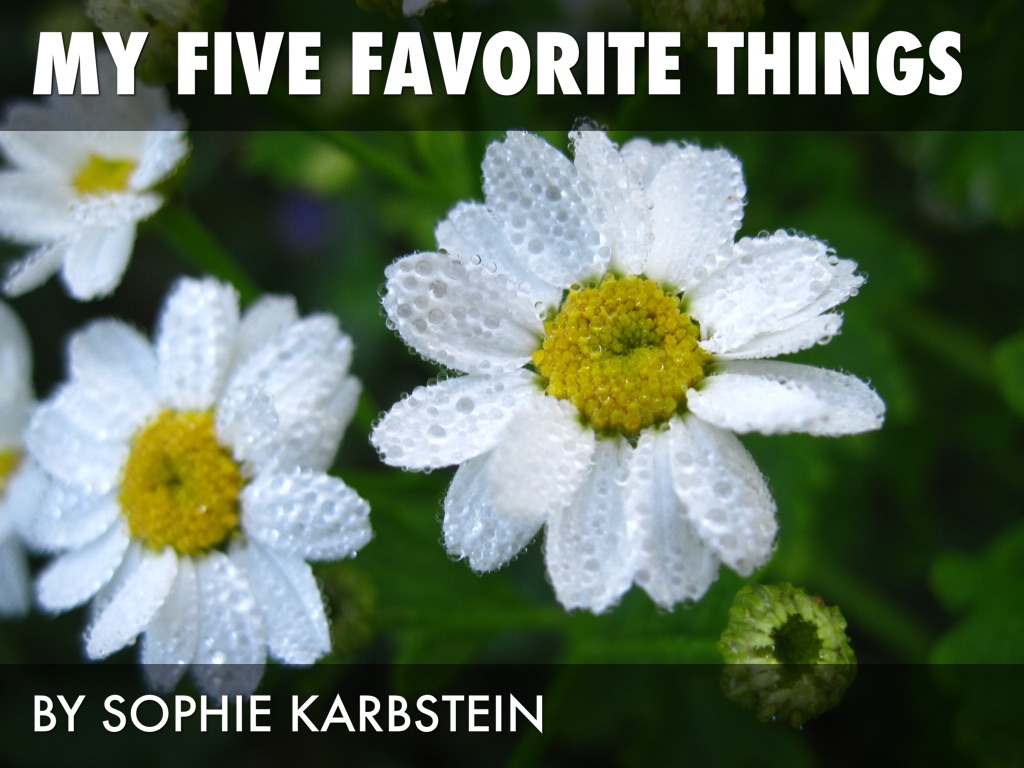 5 Favorite Things