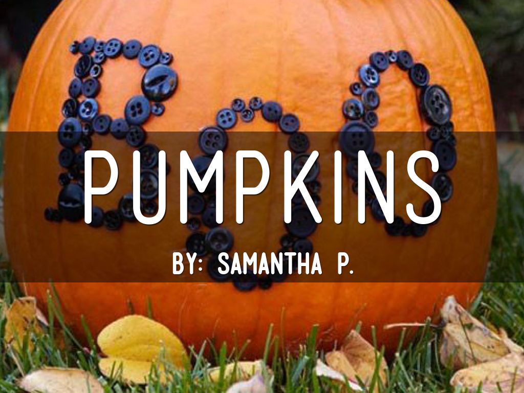 Pumpkins 